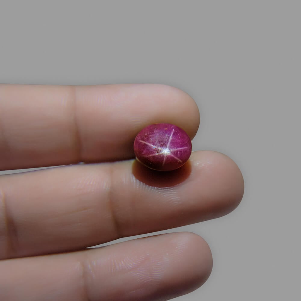 Star Ruby (Asteriated) Certified Natural  - 12.66 Carat