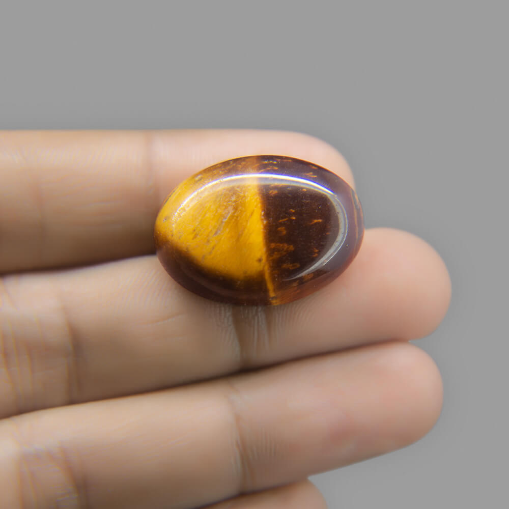 Tiger Eye - 31.31 Carat