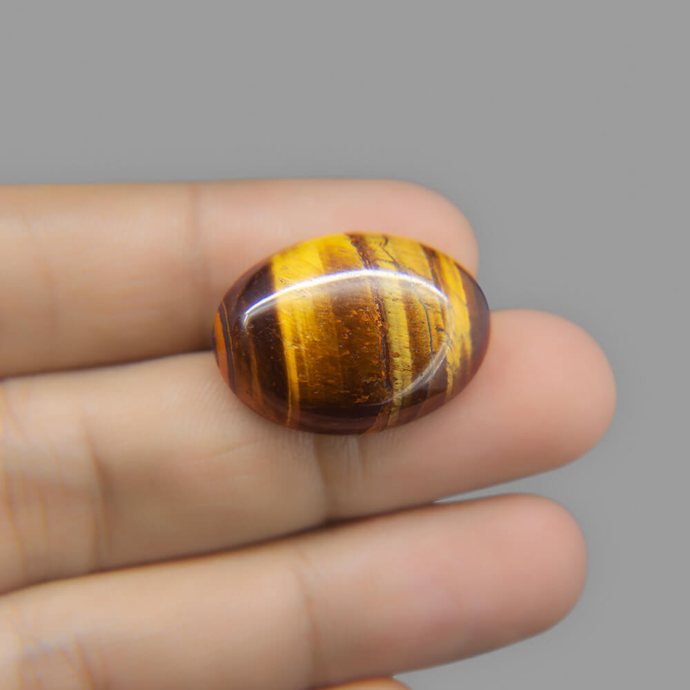 Tiger Eye - 29.48 Carat