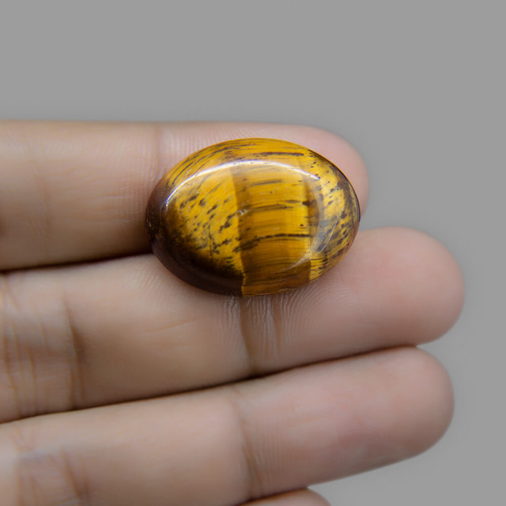 Tiger Eye - 29.23 Carat
