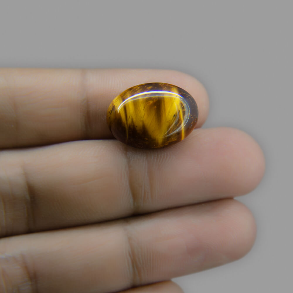 Tiger Eye - 12.12 Carat