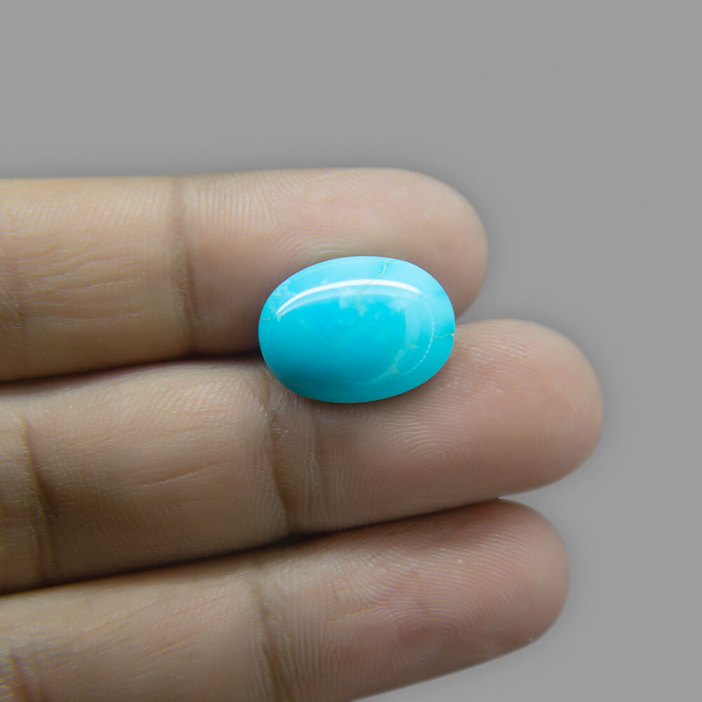 Turquoise (Firoza) - 9.97 Carat (11.10 Ratti)