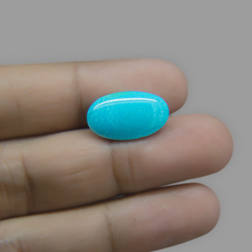 Turquoise - 9.56 Carat