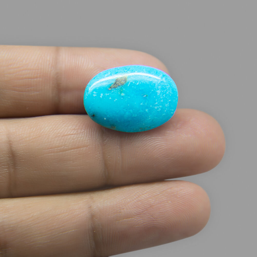 Turquoise (Firoza) Irani - 16.65 Carat
