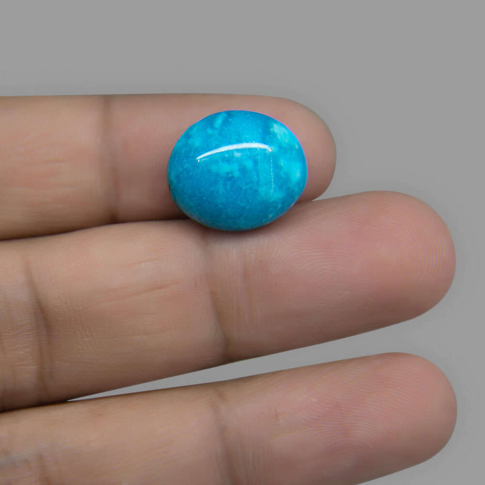 Turquoise (Firoza)  - 10.79 Carat