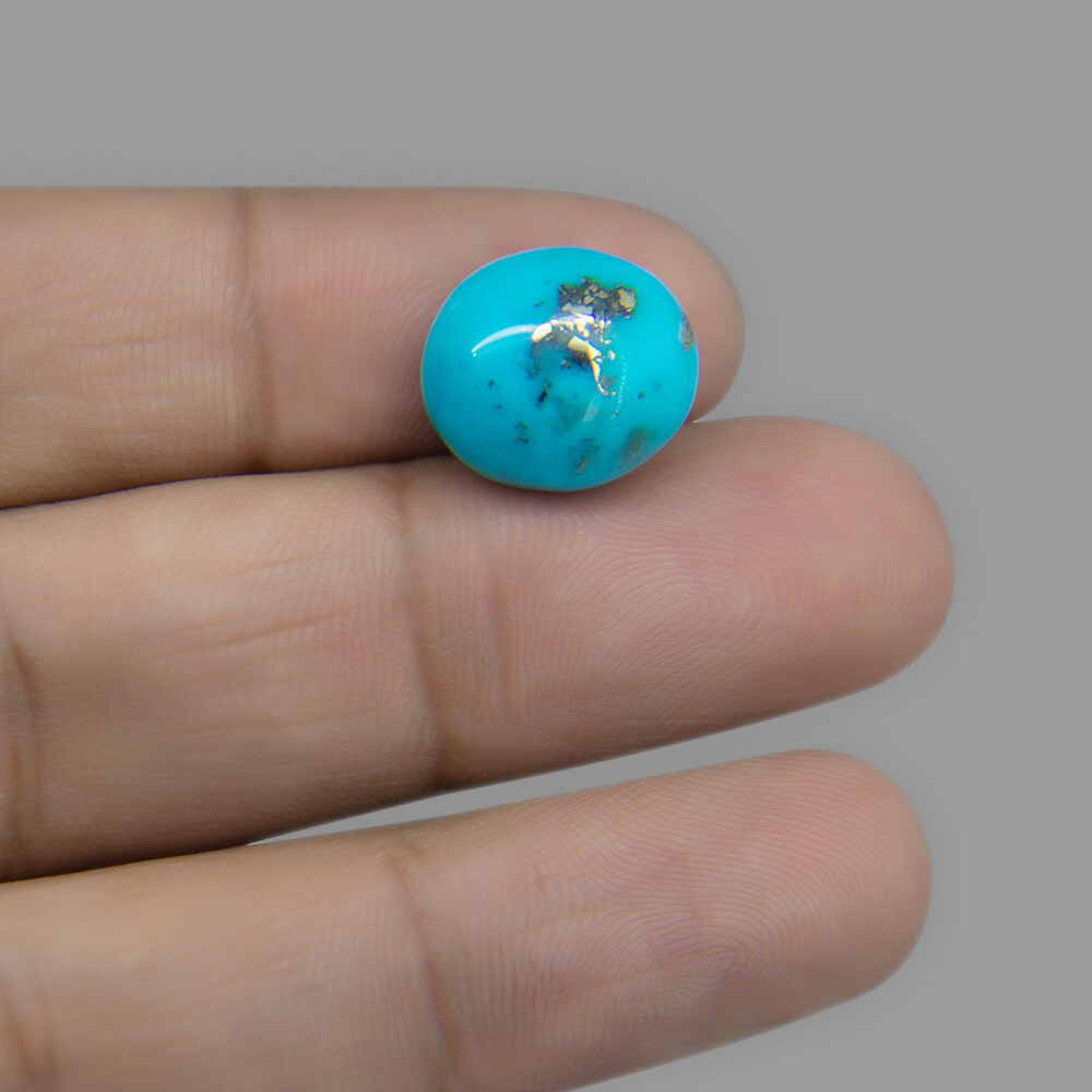 Turquoise (Firoza) - 8.72 Carat