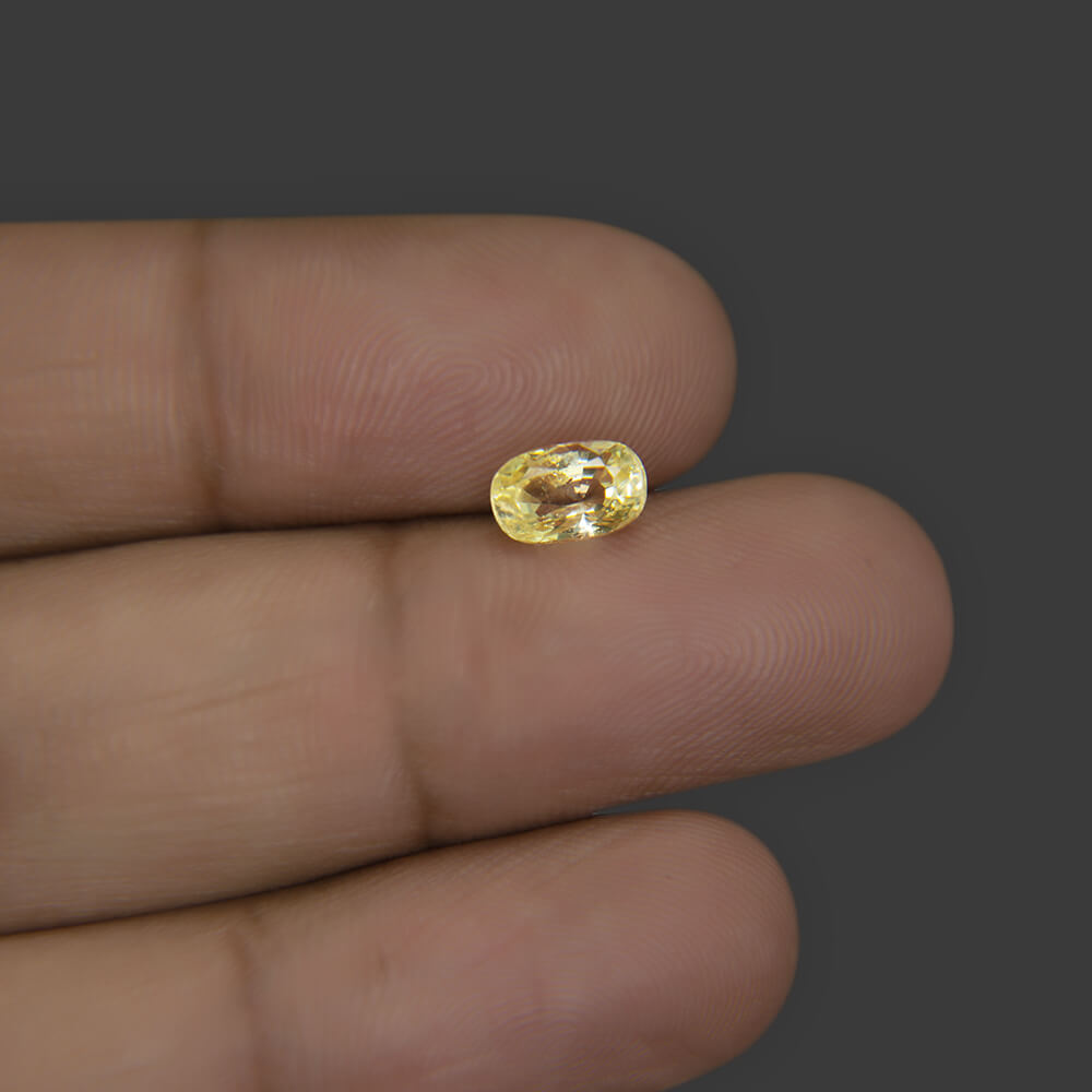 Yellow Sapphire - 1.72 Carat