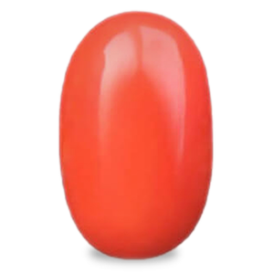 Red Coral