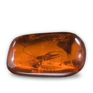 Amber
