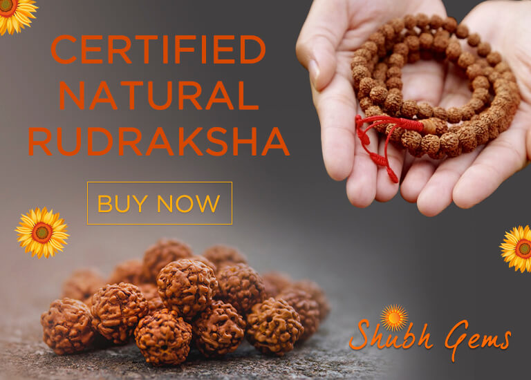 Certified Rudraksha